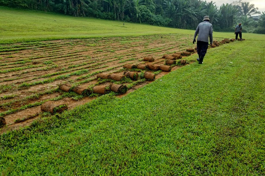 grass work